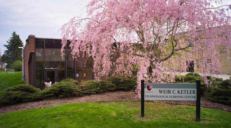 Information Technology Services Its