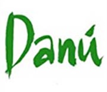 Experience a Celtic Christmas with Danú