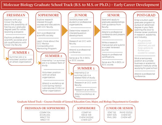 Biology-Career-Path_MolecularBiology_01